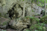 الجرف الجيري الكلسي الجاف الجاف الآبالاشي - CEGL004476 الجرف الجيري الكلسي الجاف الجاف الآبالاشي - CEGL004476