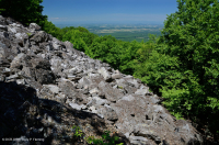 الجرف الحامضي غير الوعائي الحمضي المنخفض الارتفاع في وسط جبال الأبلاش/بولدرفيلد - CEGL004142