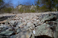 الجرف الحامضي غير الوعائي الحمضي المنخفض الارتفاع في وسط جبال الأبلاش/بولدرفيلد - CEGL004142