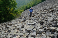 الجرف الحامضي غير الوعائي الحمضي المنخفض الارتفاع في وسط جبال الأبلاش/بولدرفيلد - CEGL004142