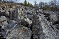 الجرف الحامضي غير الوعائي الحمضي المنخفض الارتفاع في وسط جبال الأبلاش/بولدرفيلد - CEGL004142