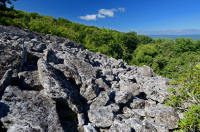 بولدرفيلد بولدرفيلد الحمضية غير الوعائية عالية الارتفاع في وسط الآبالاش - CEGL004389