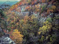 رماد الآبالاش المركزي الأساسي - هيكوري وودلاند - CEGL003683