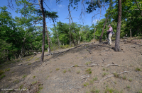 صخر الأبالاش الصخري القاحل الأوسط (النوع الشمالي) - CEGL006288 صخر الأبالاش الصخري القاحل الأوسط (النوع الشمالي) - CEGL006288