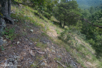 الصخر الجيري القاحل الصخري الجيري الأوسط - CEGL006037 (جزئيًا) الصخر الجيري القاحل الصخري الجيري الأوسط - CEGL006037 (جزئيًا)