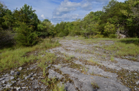 الحجر الجيري السنوي المسطح الصخري المسطح القاحل - CEGL007073 الحجر الجيري السنوي المسطح الصخري المسطح القاحل - CEGL007073