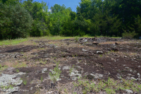 بيدمونت مافيك بارن - CEGL006294 بيدمونت مافيك بارن - CEGL006294