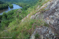 جرداء مافيك/كلسي جيري وسط جبال الأبلاش (نوع منخفض الارتفاع) - CEGL006037 (جزئيًا) جرداء مافيك/كلسي جيري وسط جبال الأبلاش (نوع منخفض الارتفاع) - CEGL006037 (جزئيًا)