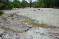 صخر بيدمونت الصخري المسطح الغرانيتي - CEGL003857 صخر بيدمونت الصخري المسطح الغرانيتي - CEGL003857