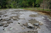 صخر بيدمونت الصخري المسطح الغرانيتي - CEGL003857 صخر بيدمونت الصخري المسطح الغرانيتي - CEGL003857