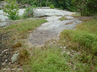 صخر بيدمونت الصخري المسطح الغرانيتي - CEGL003857 صخر بيدمونت الصخري المسطح الغرانيتي - CEGL003857