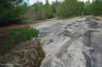 الصخور المسطحة الغرانيتية في بيدمونت - CEGL003857 الصخور المسطحة الغرانيتية في بيدمونت - CEGL003857