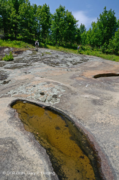 صخر بيدمونت الصخري المسطح الغرانيتي - CEGL003857