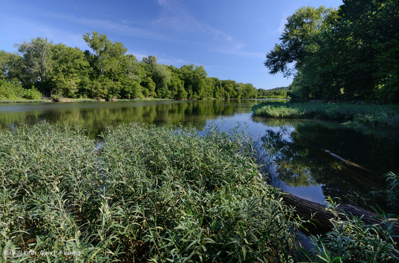 ووتر-ويلو روكي بار وشاطئ ويلو - CEGL004286