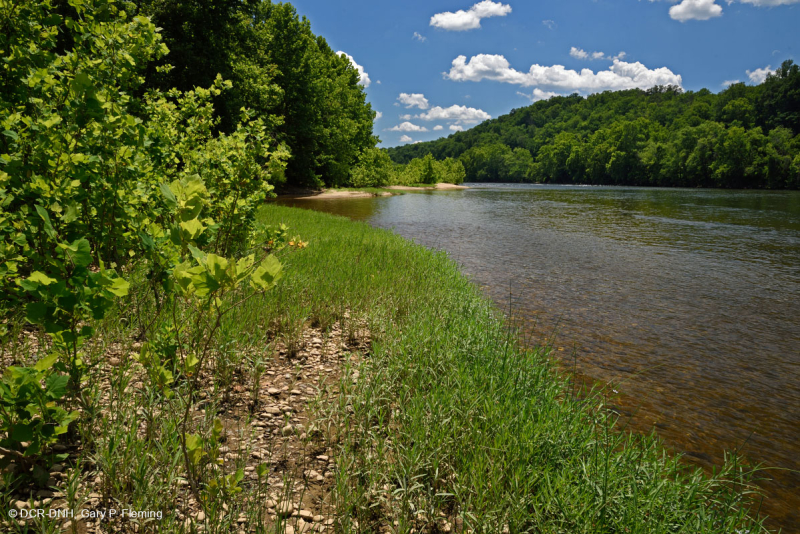 ووتر-ويلو روكي بار وشاطئ ويلو - CEGL004286