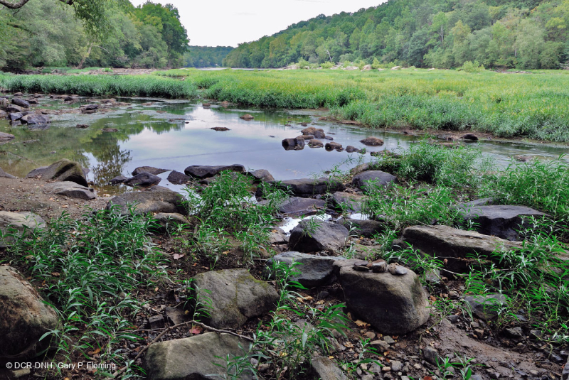 ووتر-ويلو روكي بار وشاطئ ويلو - CEGL004286