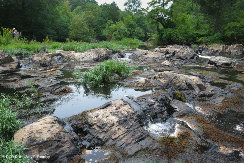 ووتر-ويلو روكي بار وشاطئ ويلو - CEGL004286