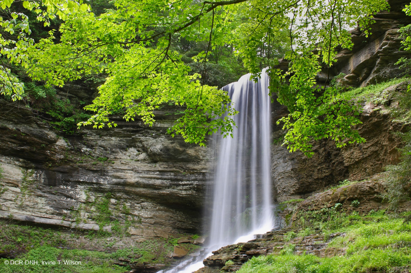 أبالاتشيان سبراي كليف