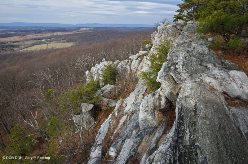 جرف الأبلاش الوسطى/ بيدمونت الحمضي - CEGL004391