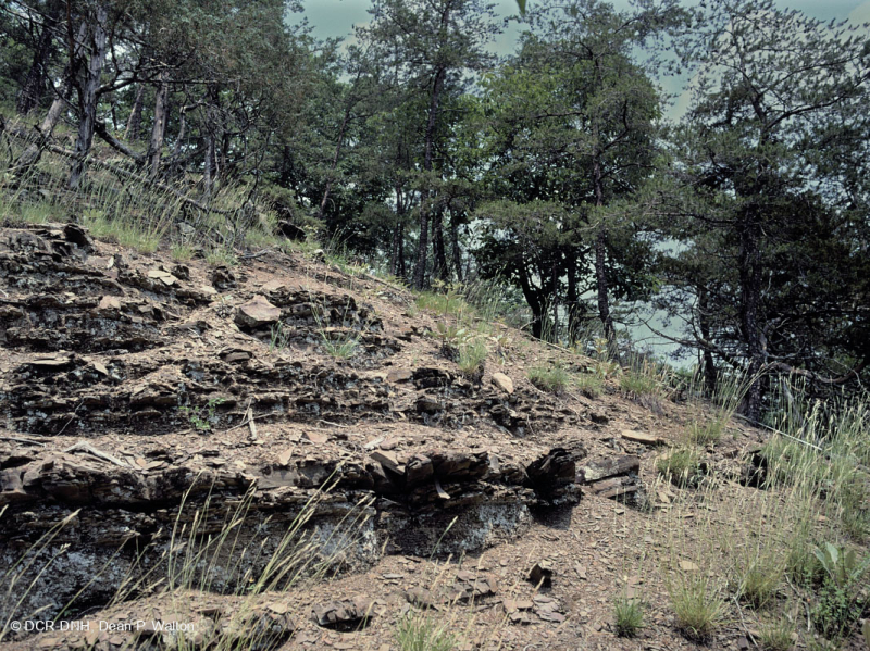 الصخر الجيري القاحل الصخري الجيري الأوسط - CEGL006037 (جزئيًا)