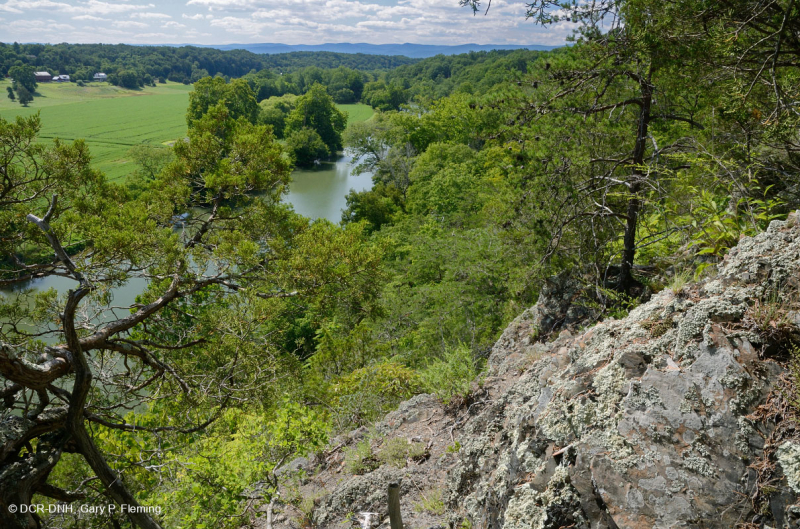 صخر الأبالاش الصخري القاحل الأوسط (النوع الشمالي) - CEGL006288