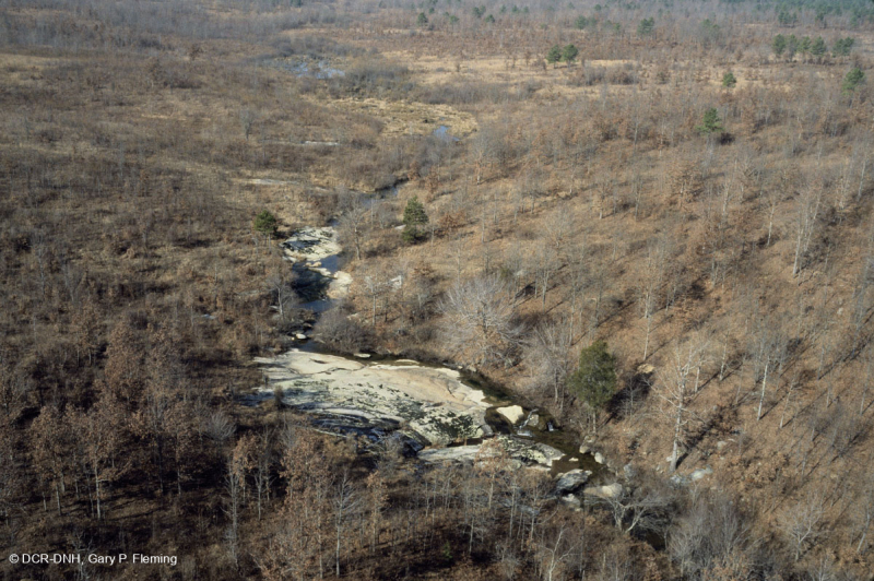 صخر بيدمونت الصخري المسطح الغرانيتي - CEGL003857