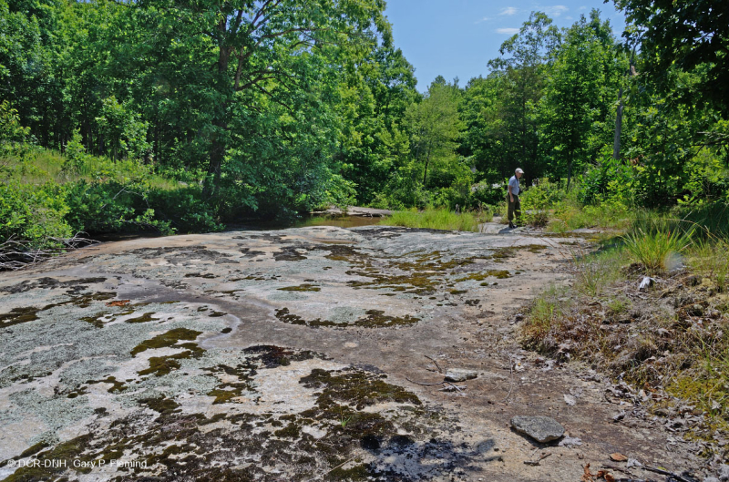 صخر بيدمونت الصخري المسطح الغرانيتي - CEGL003857