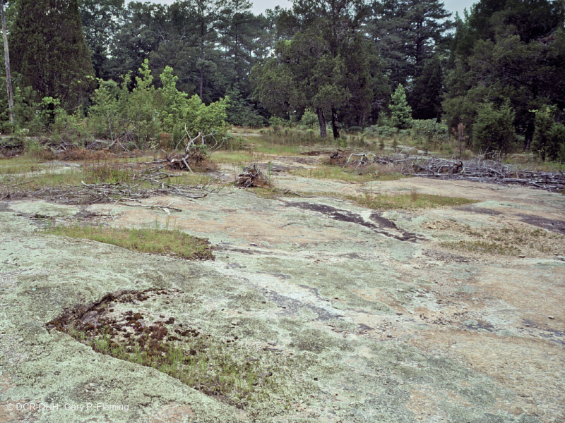 صخر بيدمونت الصخري المسطح الغرانيتي - CEGL003857