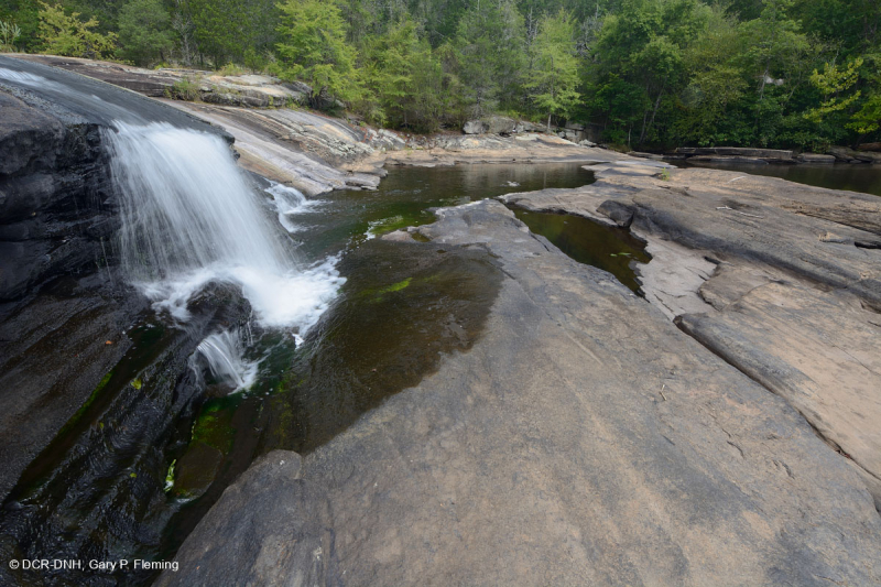 صخر بيدمونت الصخري المسطح الغرانيتي - CEGL003857