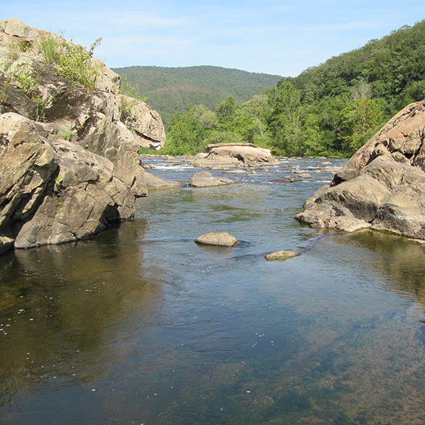 مجموعة أدوات الذكرى السنوية