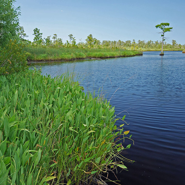 تقويم الفعاليات