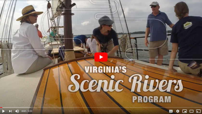 فيديو نظرة عامة على برنامج يوتيوب