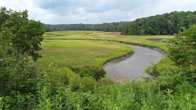 متنزه نهر يورك ستيت بارك