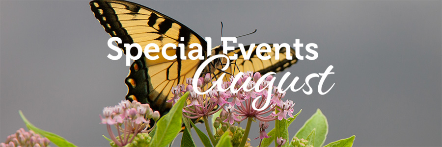 فعاليات شهر أغسطس