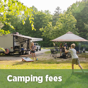 رسوم التخييم