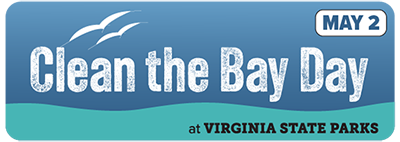 يوم تنظيف الخليج