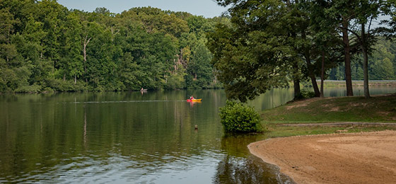 صور شريط التمرير