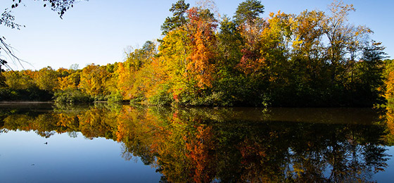 صور شريط التمرير