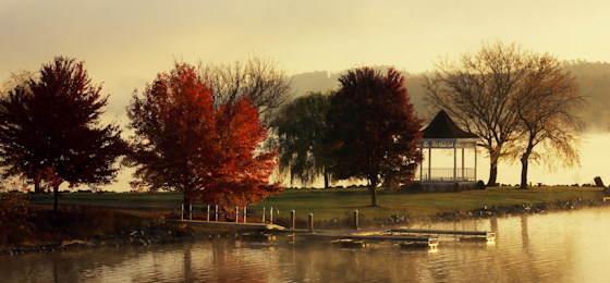 صور شريط التمرير