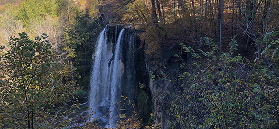 صور شريط التمرير