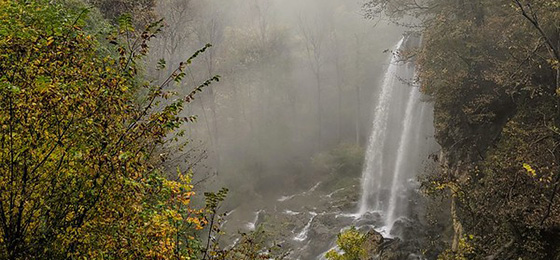 صور شريط التمرير