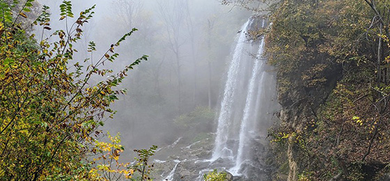 صور شريط التمرير