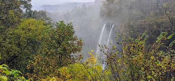 صور شريط التمرير