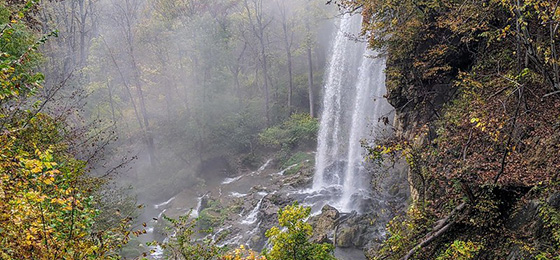 صور شريط التمرير