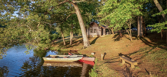 صور شريط التمرير