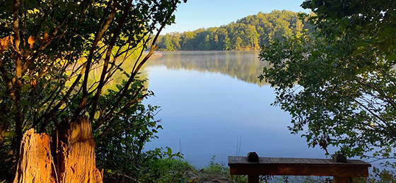 صور شريط التمرير