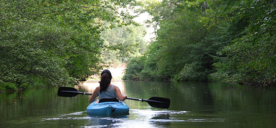 صور شريط التمرير