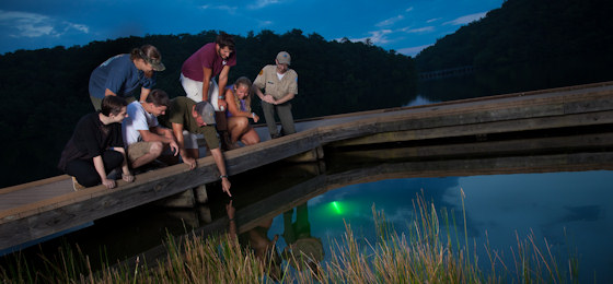 صور شريط التمرير