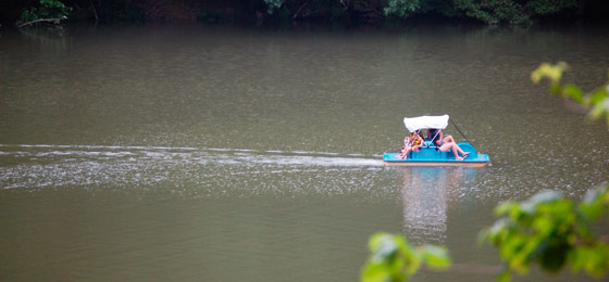 صور شريط التمرير