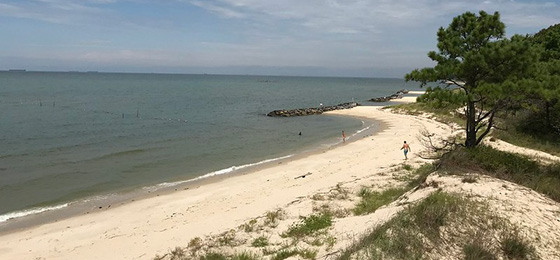 صور شريط التمرير